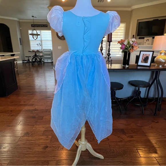 Disney Cinderella Gown Girls XL fit Women XS S Costume Dress Long Blue - Picture 5 of 16